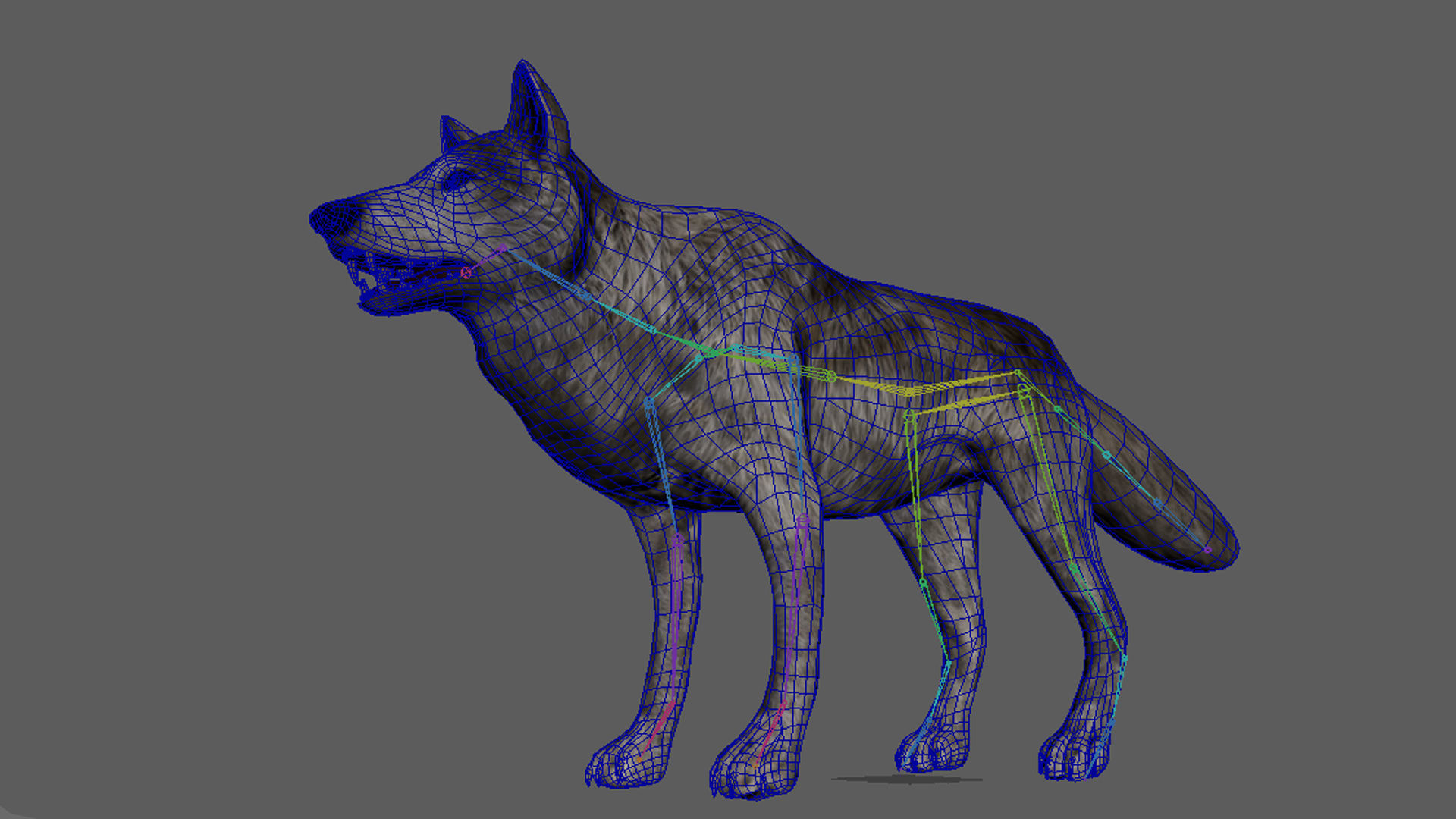 Lowpoly Wolf Rigged and Animated for VR AR Games Low-poly 3D model_6