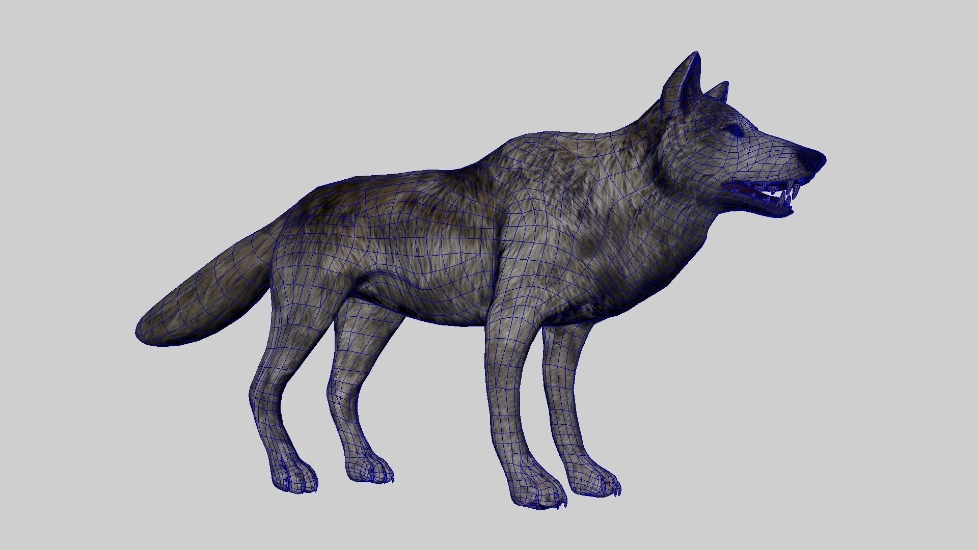 Lowpoly Wolf Rigged and Animated for VR AR Games Low-poly 3D model_9