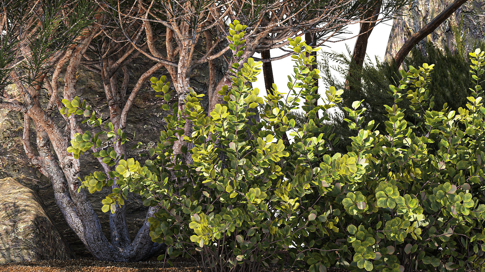 Alpine Slide Of Pine Tipiar Bush Pampas Grass 1217 3D model_6