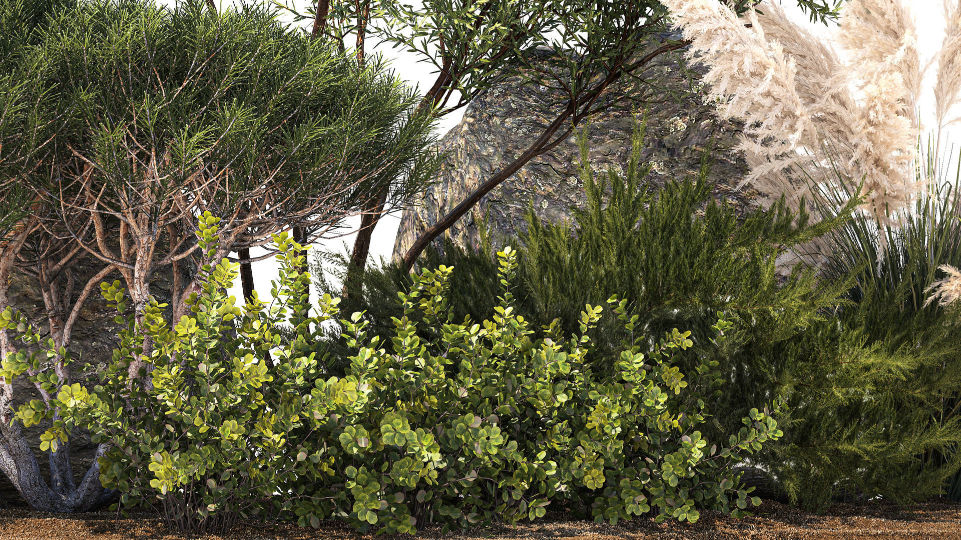 Alpine Slide Of Pine Tipiar Bush Pampas Grass 1217 3D model_2