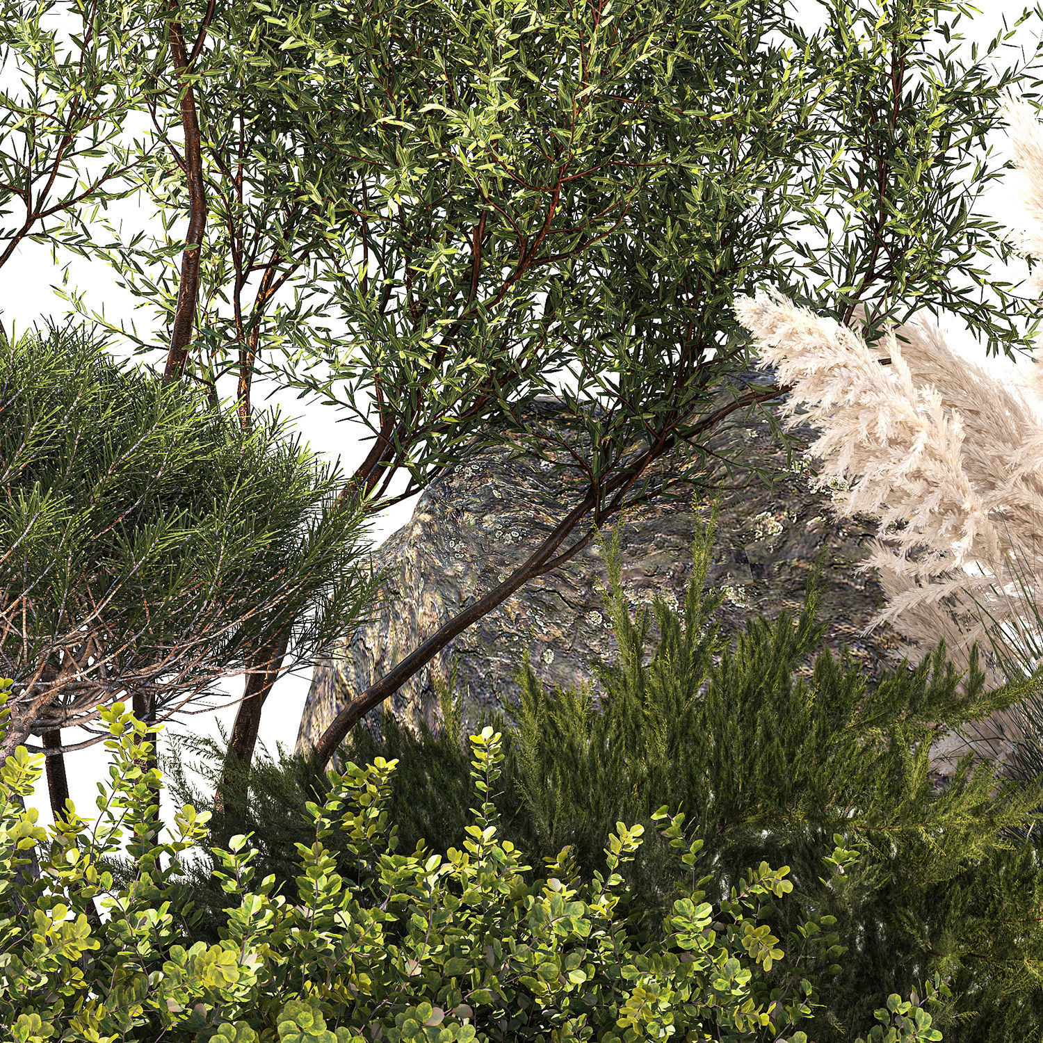 Alpine Slide Of Pine Tipiar Bush Pampas Grass 1217 3D model_5