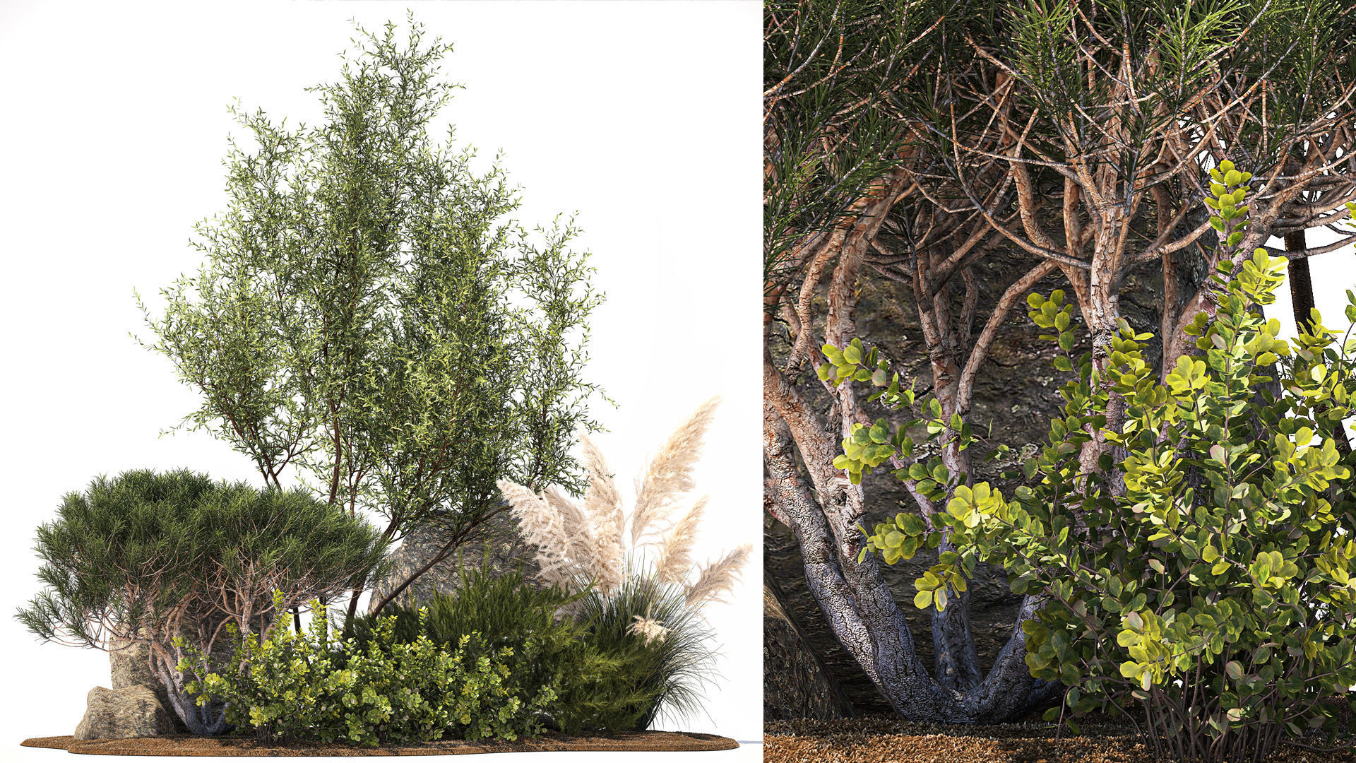 Alpine Slide Of Pine Tipiar Bush Pampas Grass 1217 3D model_1