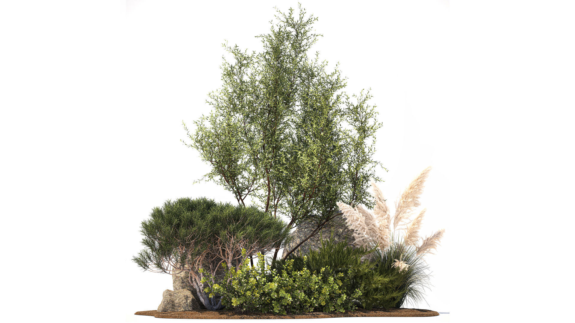 Alpine Slide Of Pine Tipiar Bush Pampas Grass 1217 3D model_12
