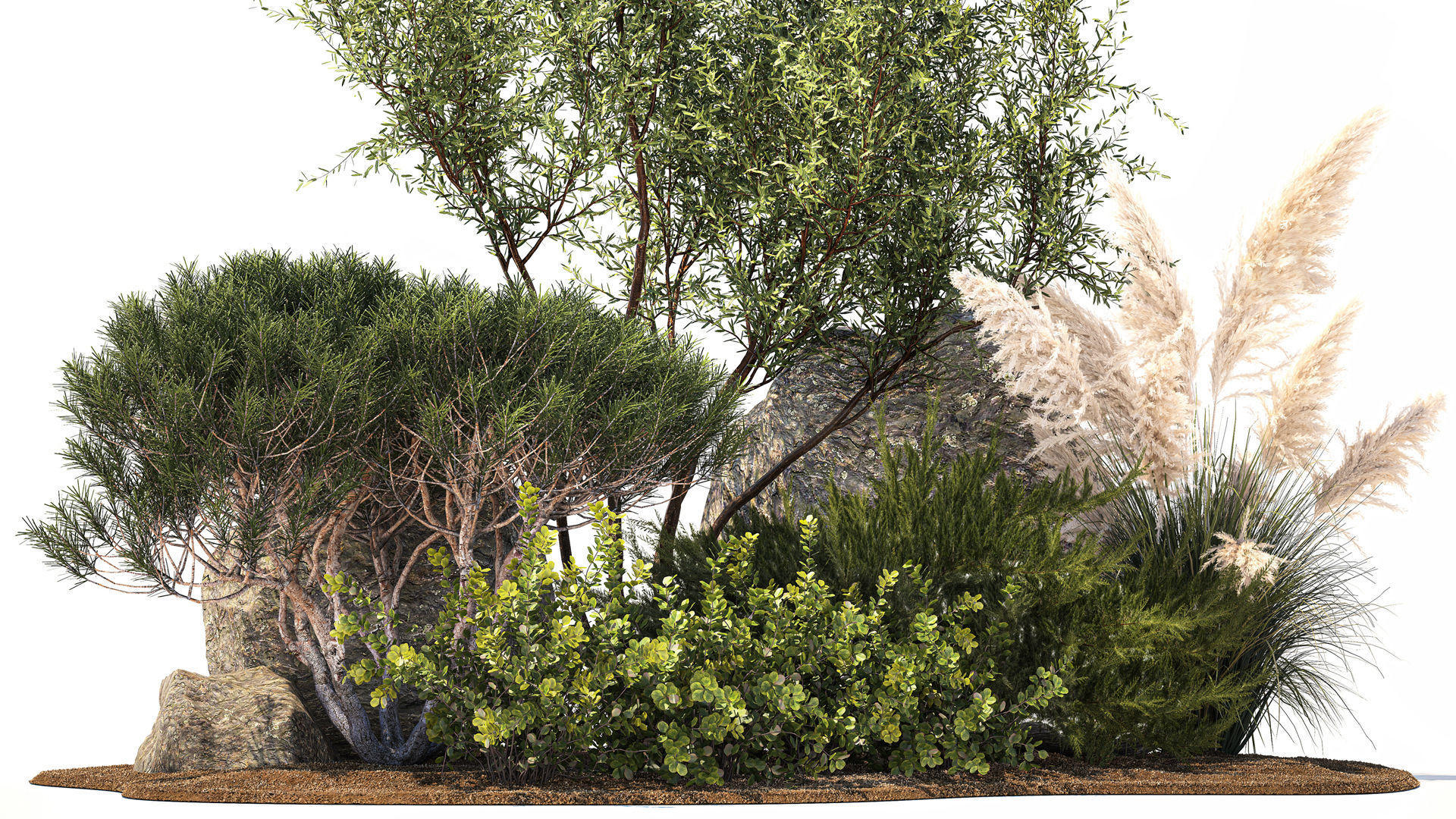 Alpine Slide Of Pine Tipiar Bush Pampas Grass 1217 3D model_3