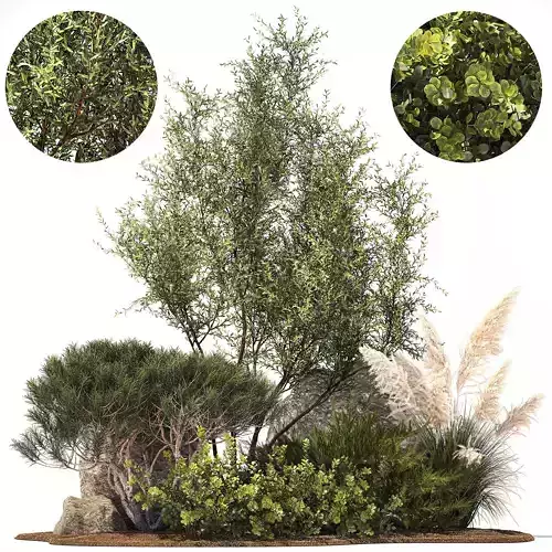 Alpine Slide Of Pine Tipiar Bush Pampas Grass 1217 3D model