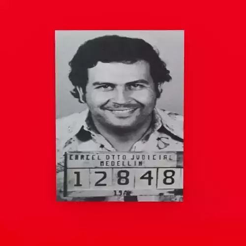 Pablo Escobar portrait Low-poly 3D model