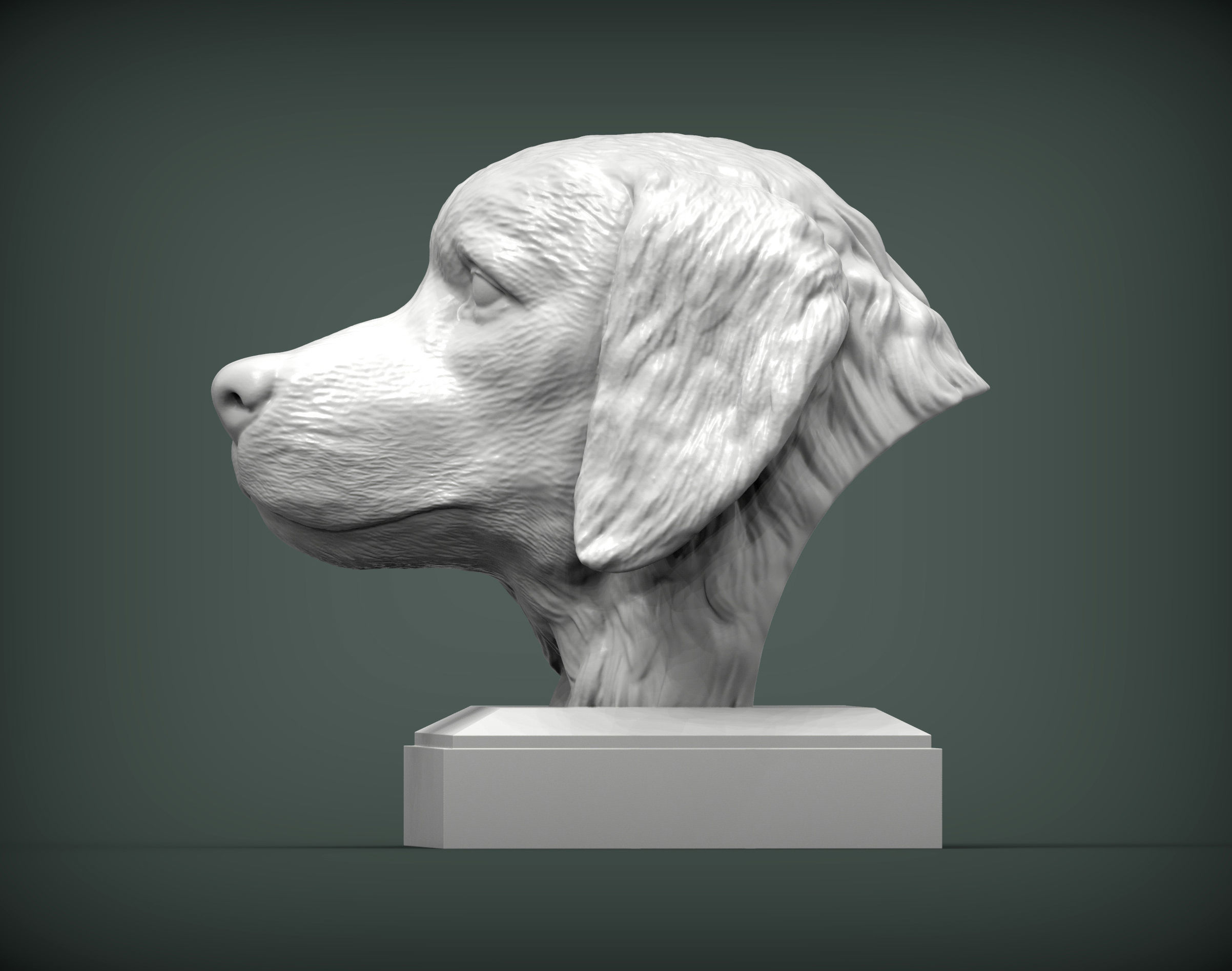 Golden retriever 3D print model 3D print model_2