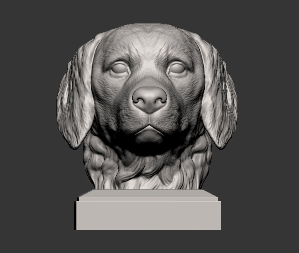 Golden retriever 3D print model 3D print model_4