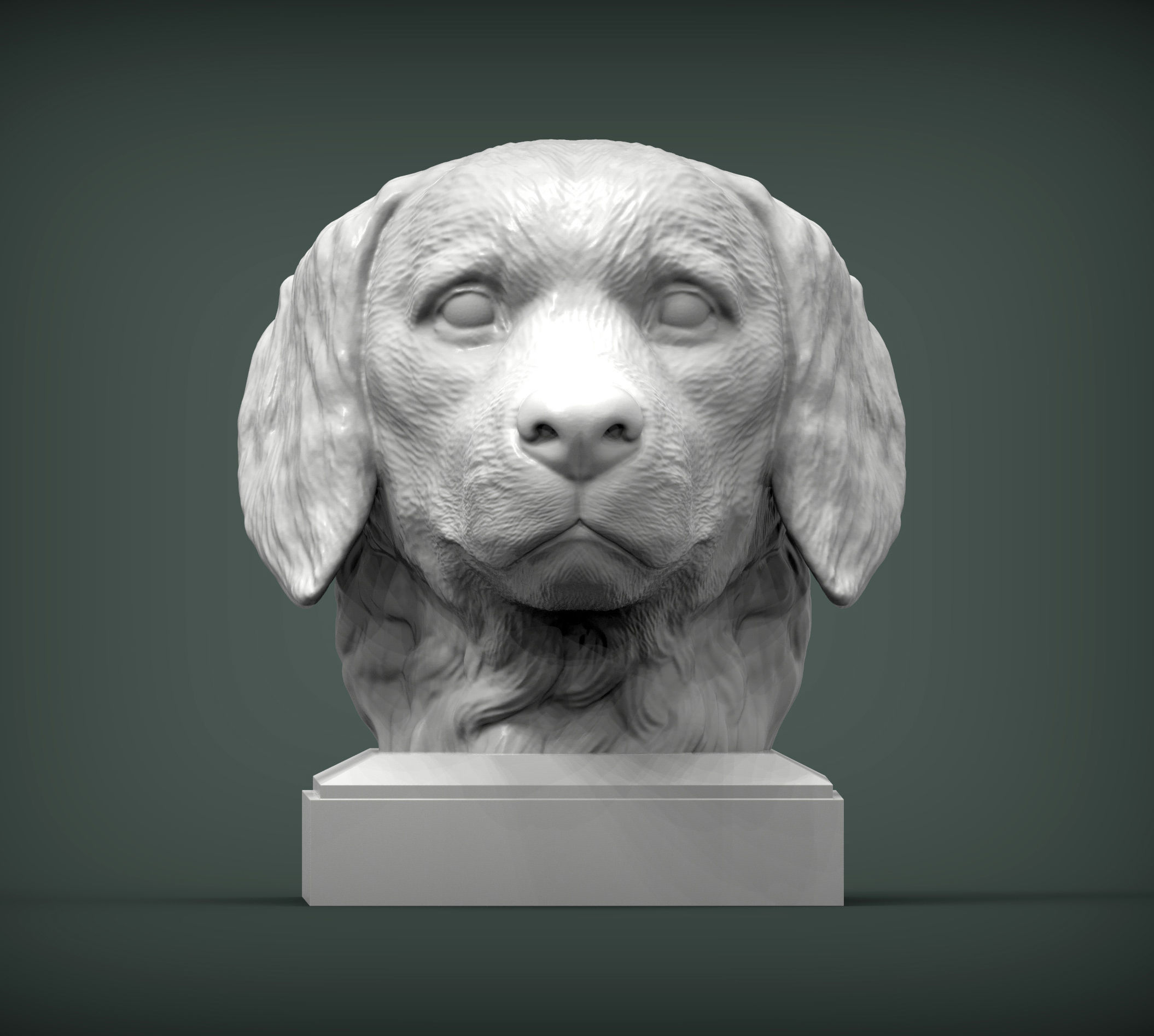 Golden retriever 3D print model 3D print model_3