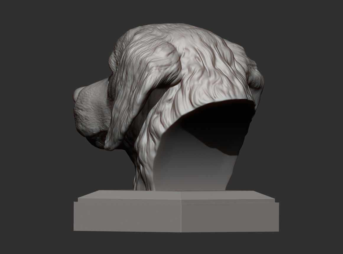 Golden retriever 3D print model 3D print model_7