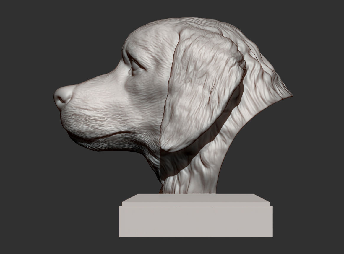 Golden retriever 3D print model 3D print model_5