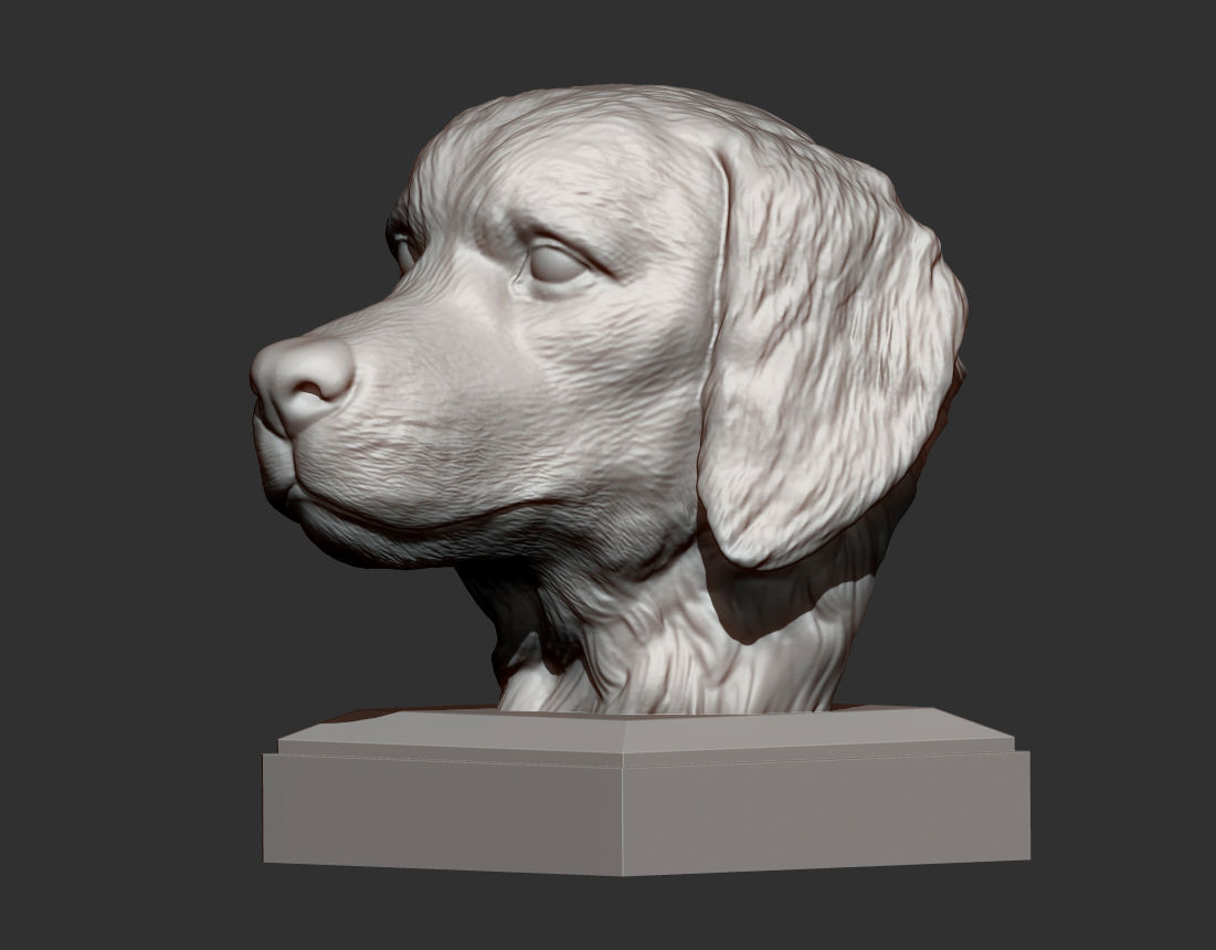 Golden retriever 3D print model 3D print model_6