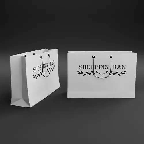 Shopping Bag 2 3D model