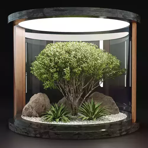 Indoor Garden with Plants collection vol 194