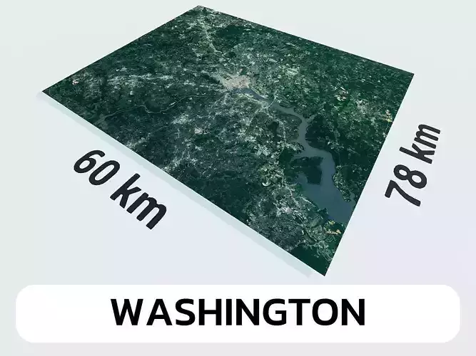 Washington United States City Landscape 3D Model