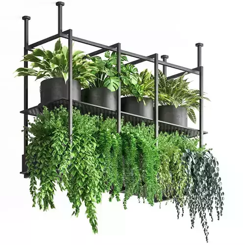 collection Indoor plants hanging pot metal 01