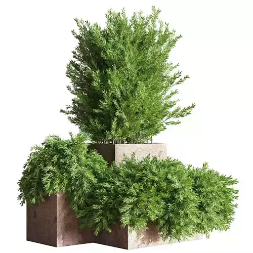 Outdoor Plants tree 21