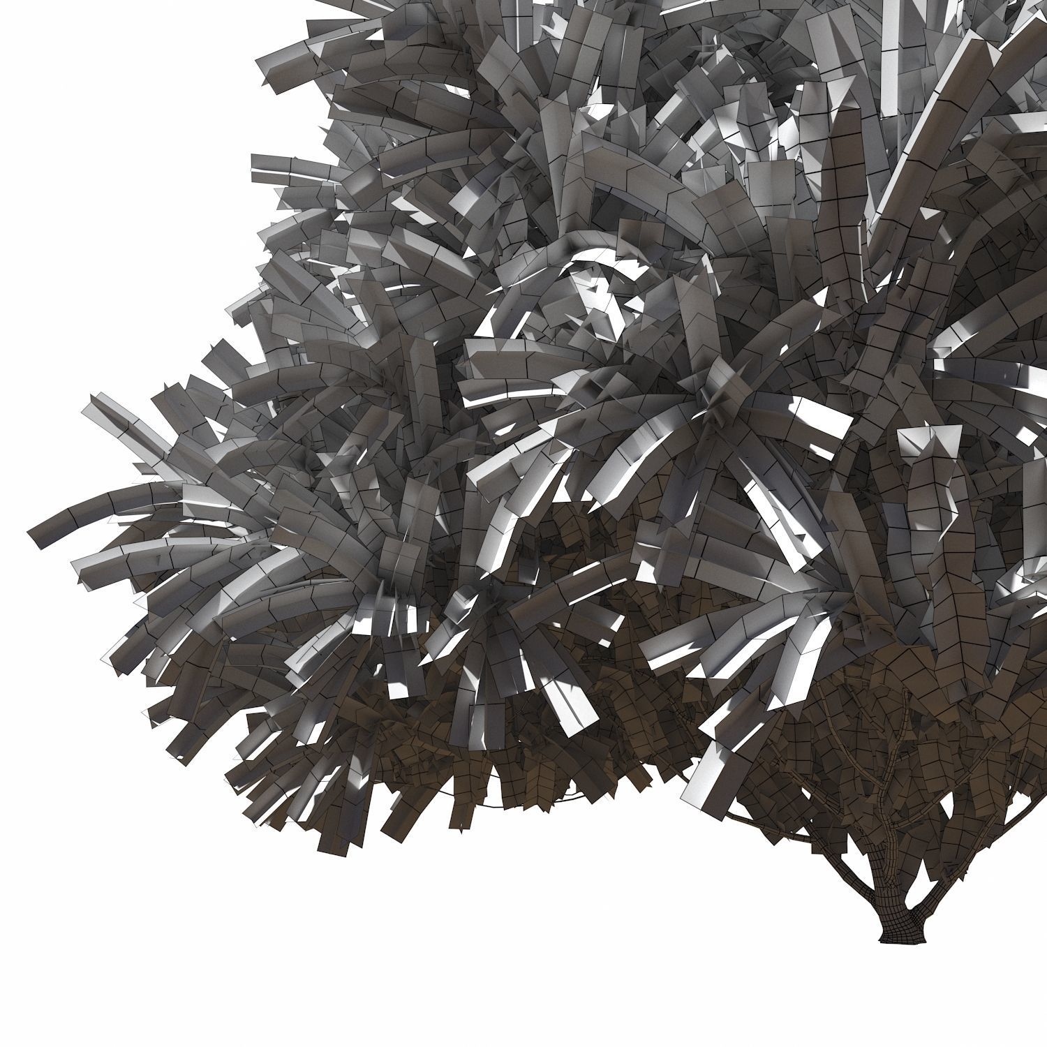 Tamarix Gallica 3D model_5