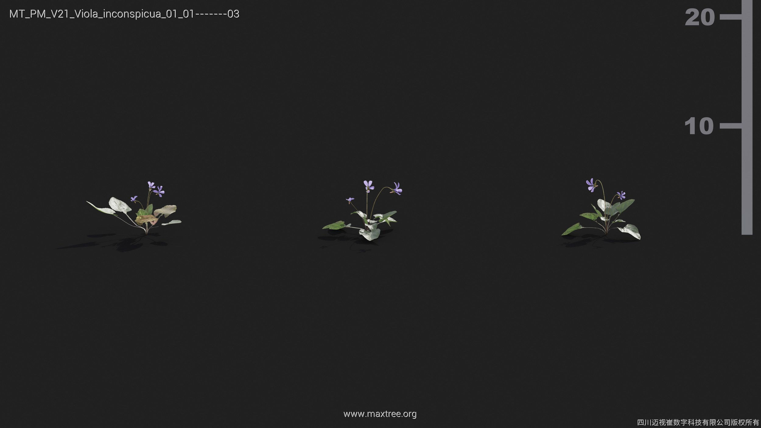 Maxtree Plant Models Vol 21 - Mesh 3D model_41