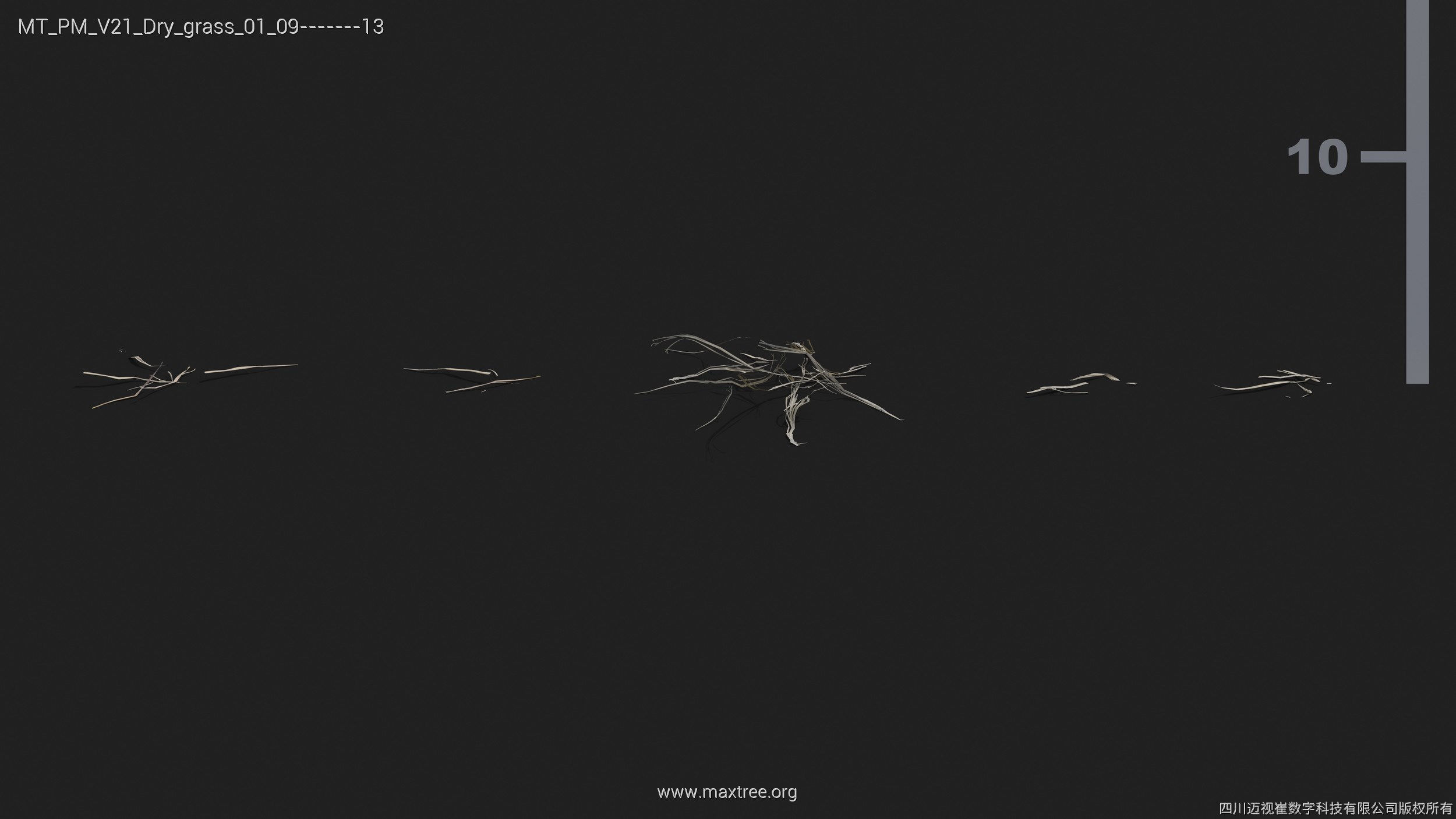 Maxtree Plant Models Vol 21 - Mesh 3D model_16