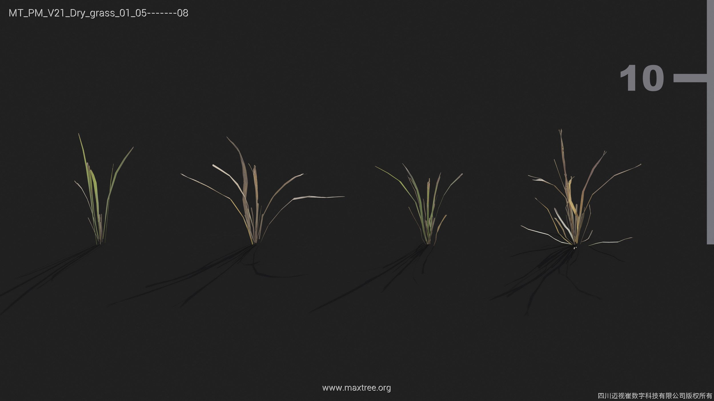 Maxtree Plant Models Vol 21 - Mesh 3D model_15