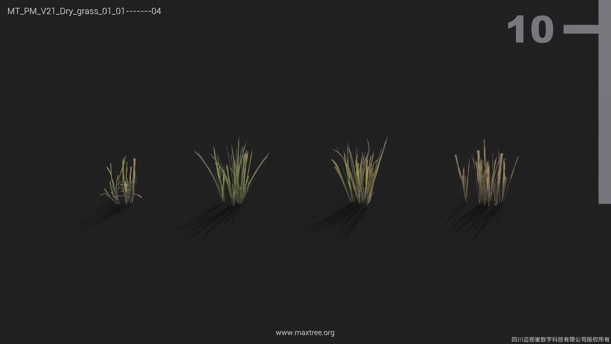 Maxtree Plant Models Vol 21 - Mesh 3D model_14