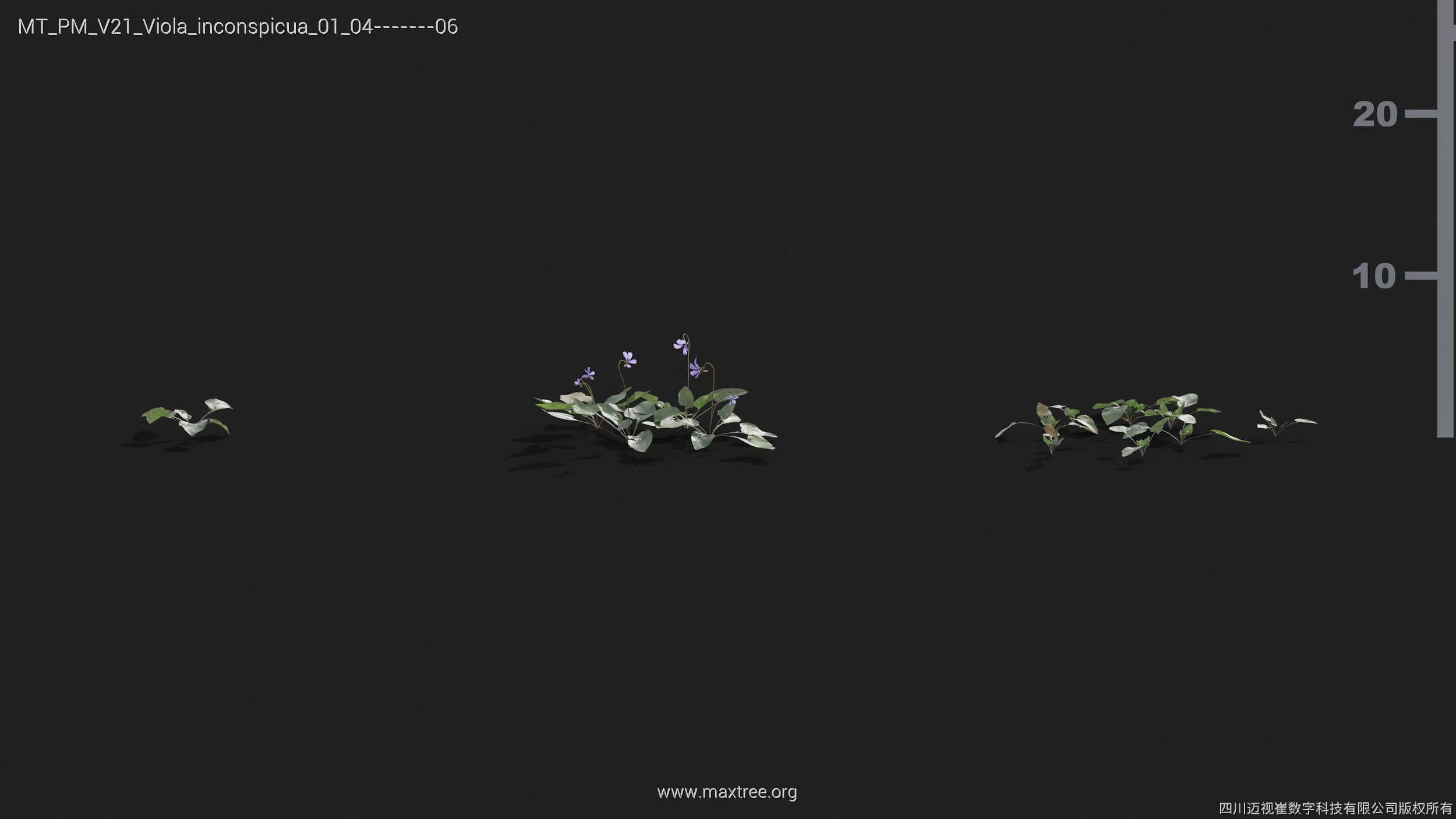 Maxtree Plant Models Vol 21 - Mesh 3D model_42