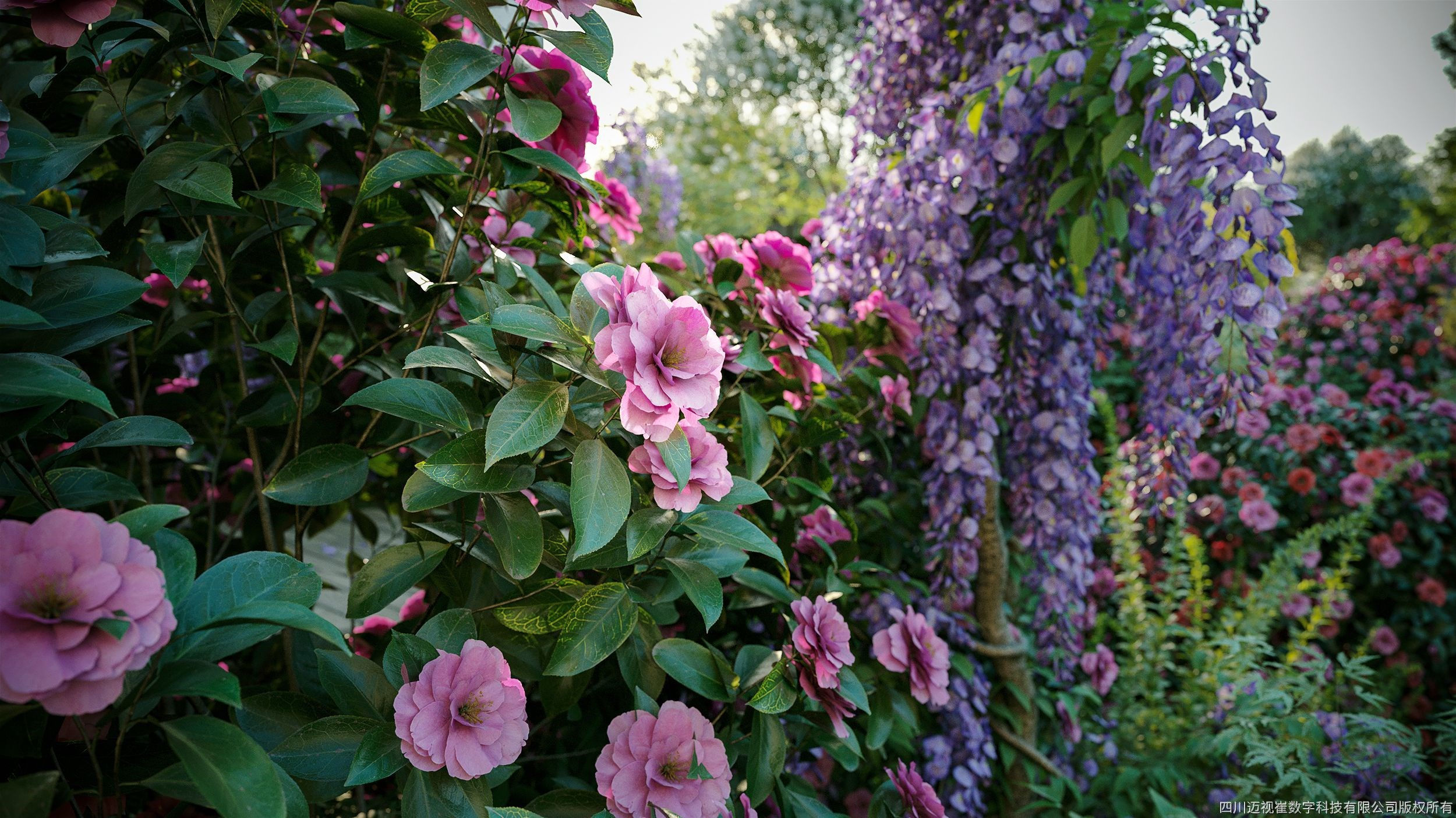 Maxtree Plant Models Vol 23 - Mesh 3D model_1