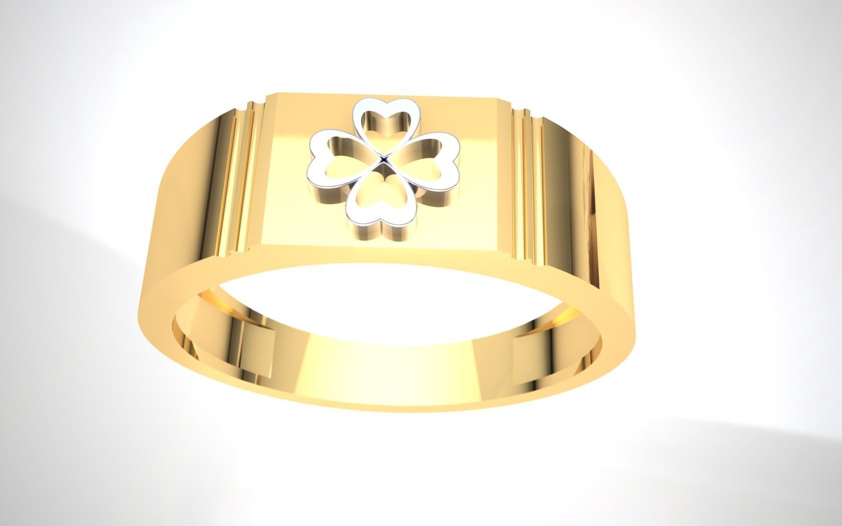 ALL RINGS 3D model_33