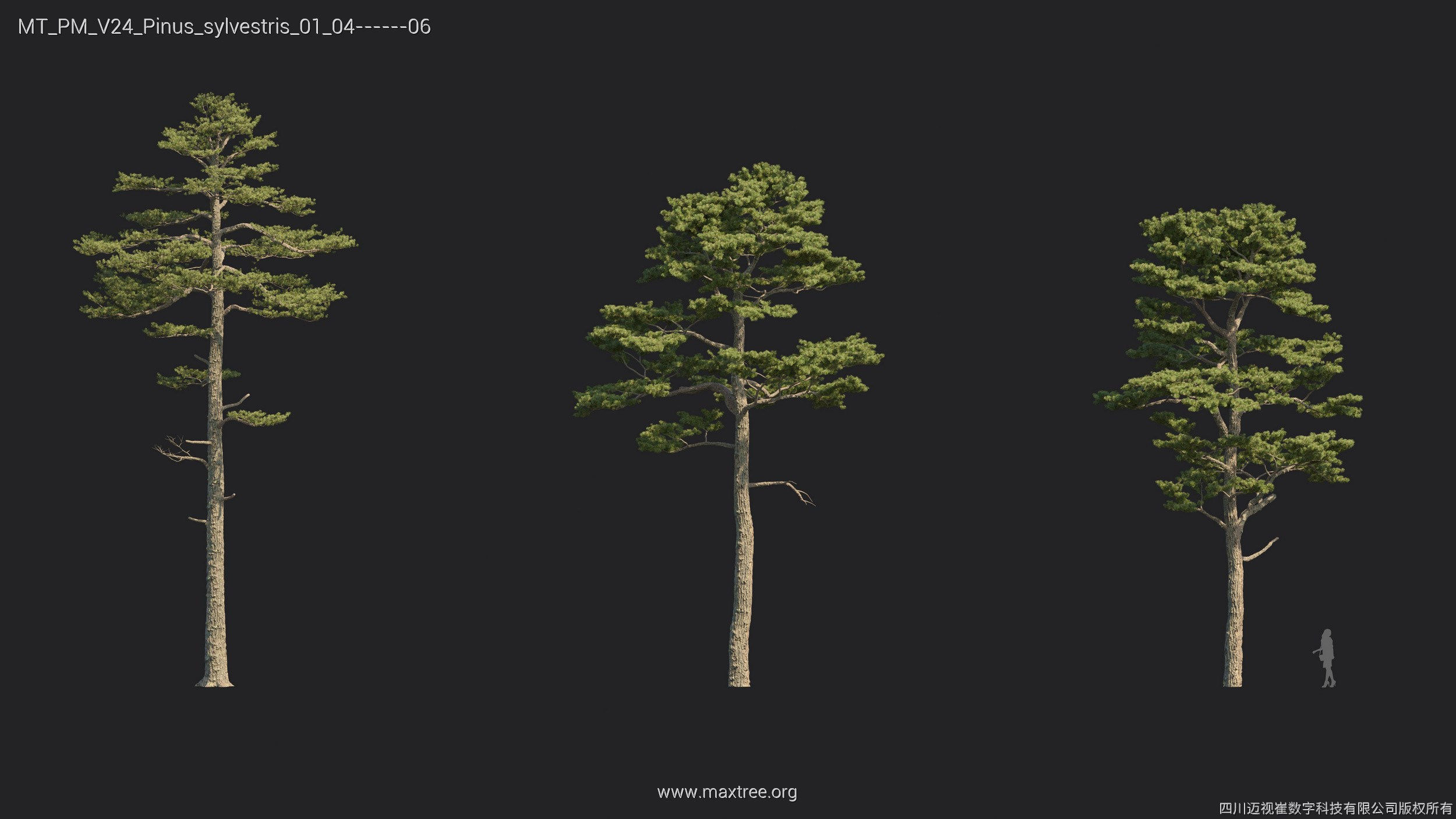 Maxtree Plant Models Vol 24 - Mesh 3D model_20