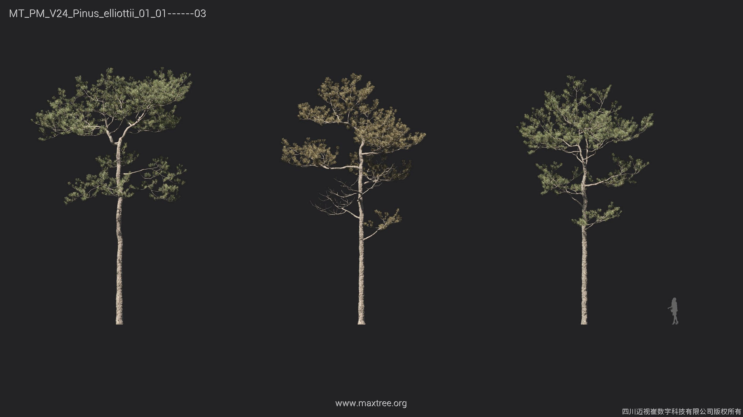 Maxtree Plant Models Vol 24 - Mesh 3D model_16