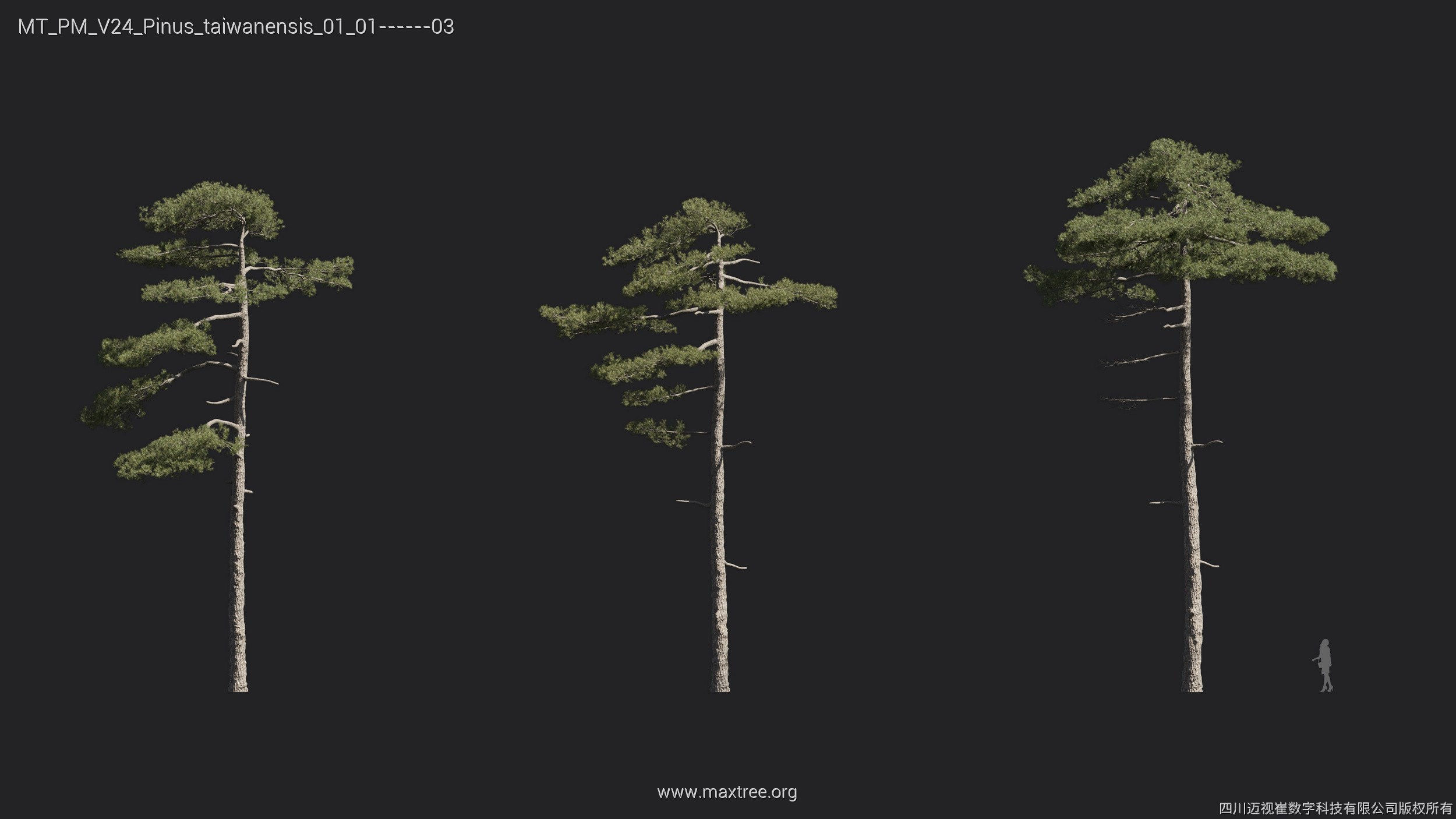 Maxtree Plant Models Vol 24 - Mesh 3D model_4