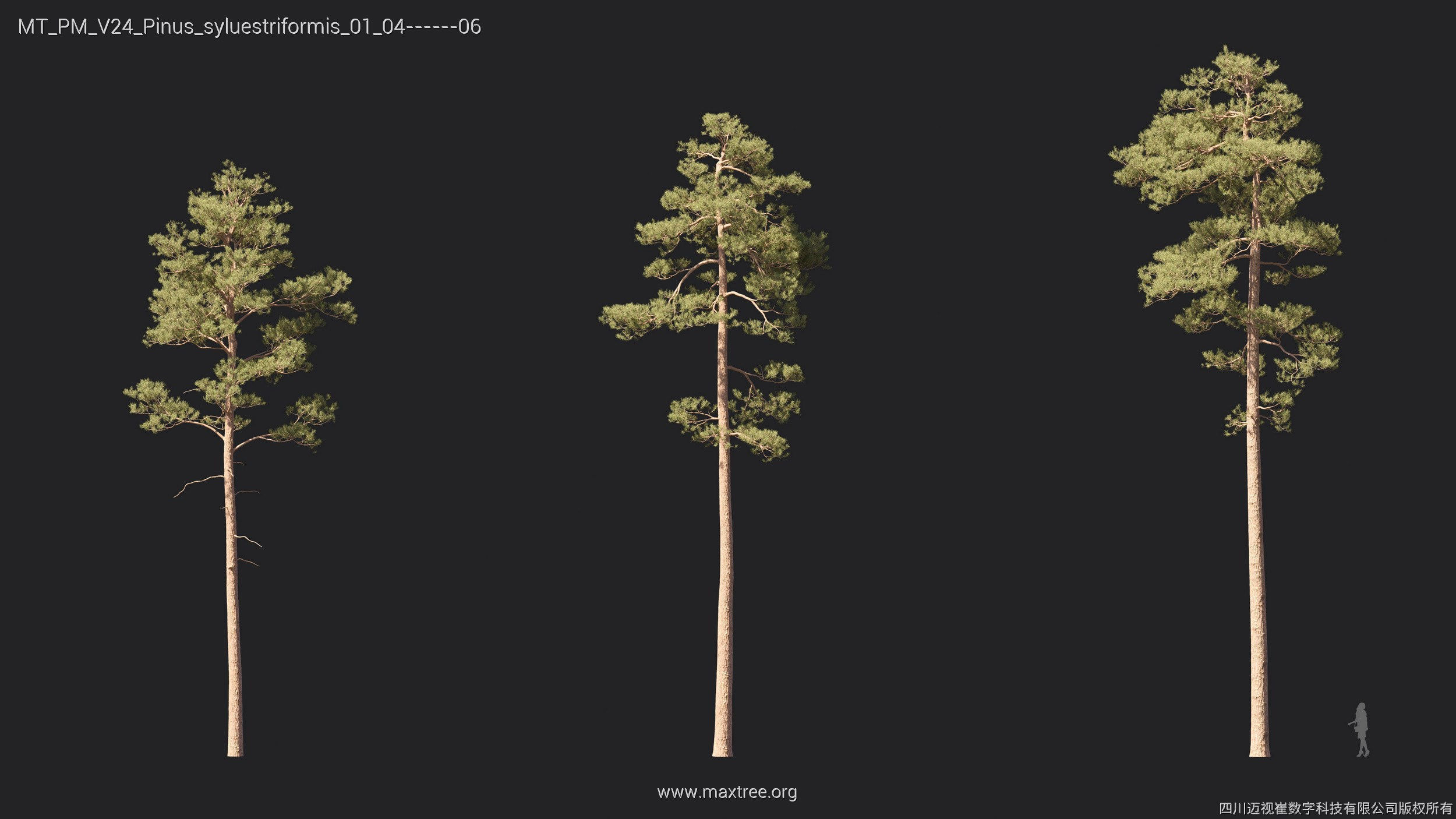 Maxtree Plant Models Vol 24 - Mesh 3D model_19