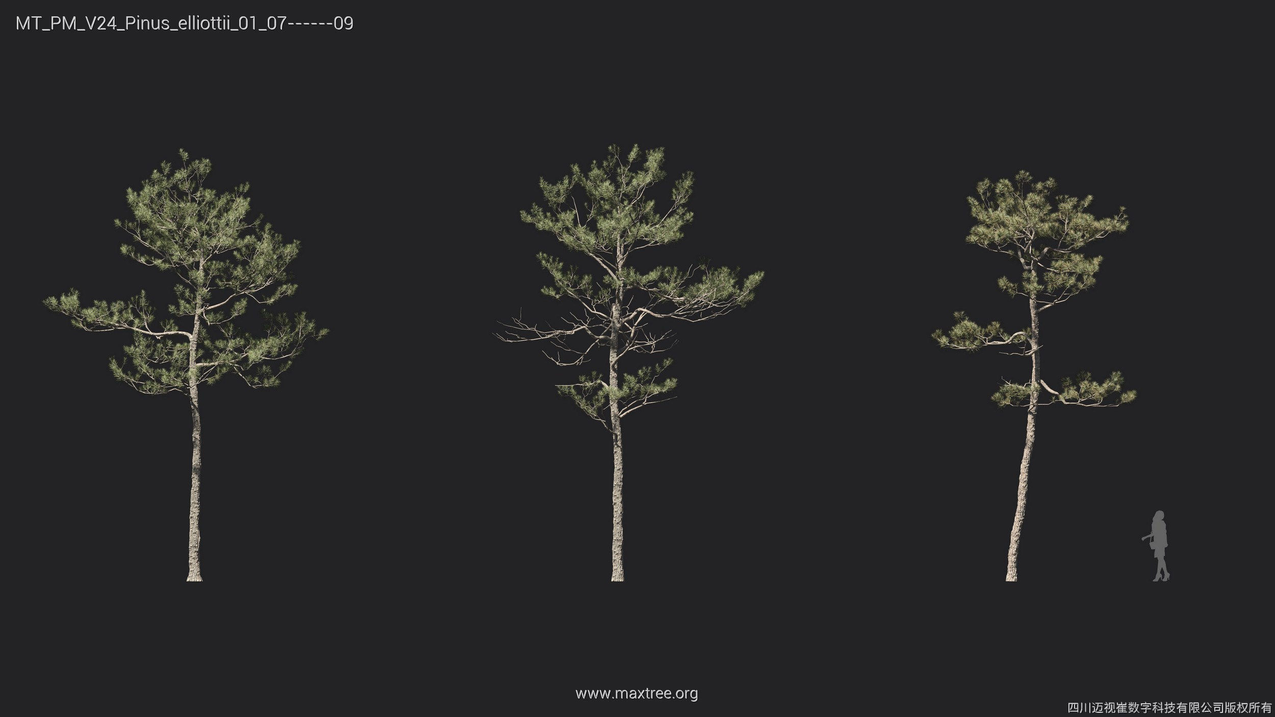 Maxtree Plant Models Vol 24 - Mesh 3D model_13