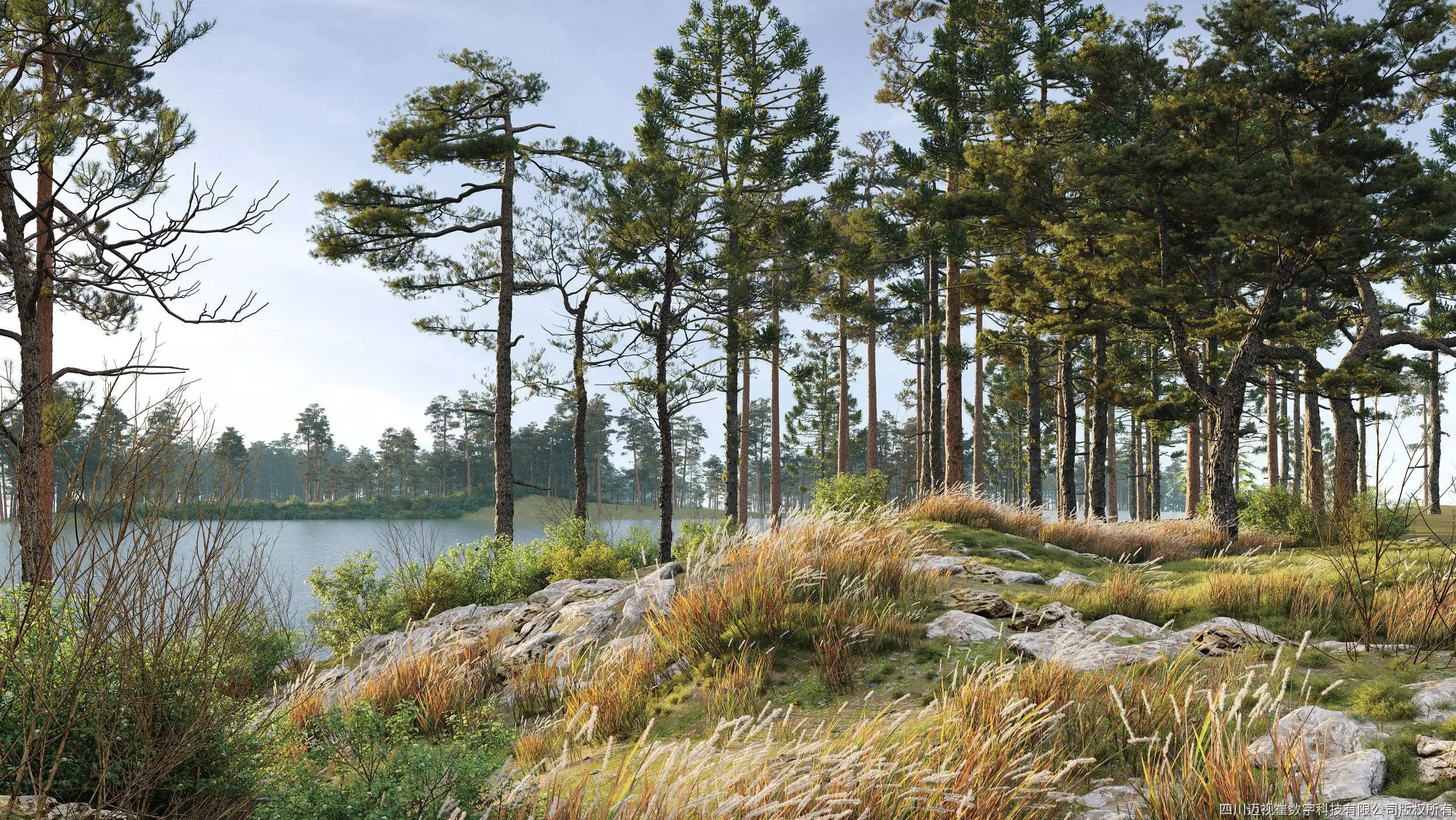 Maxtree Plant Models Vol 24 - Mesh 3D model_0