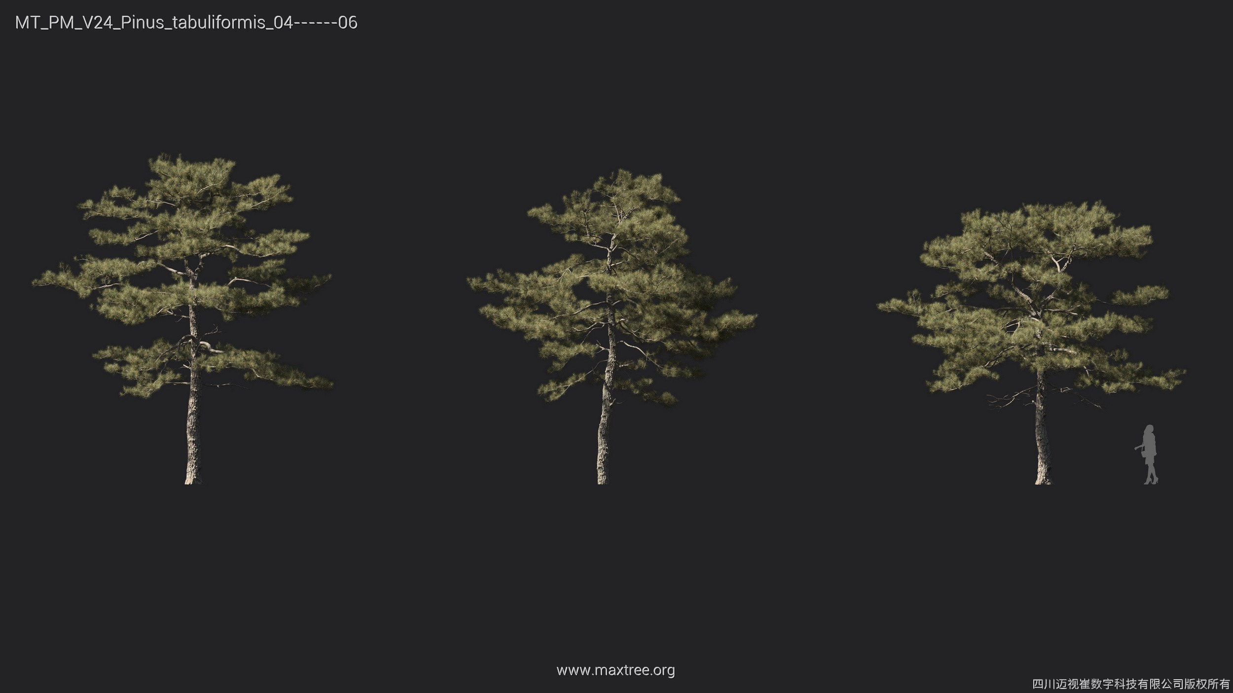 Maxtree Plant Models Vol 24 - Mesh 3D model_3
