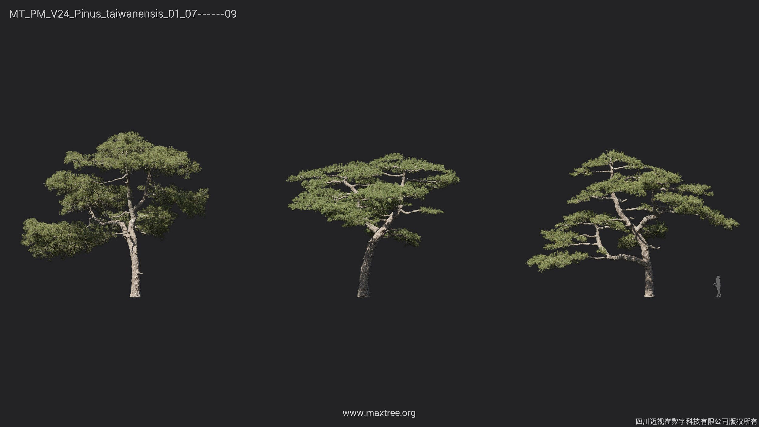 Maxtree Plant Models Vol 24 - Mesh 3D model_11