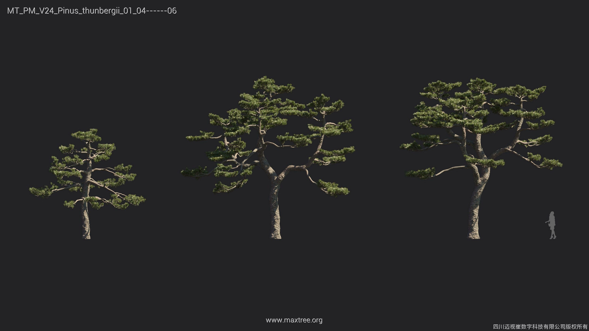 Maxtree Plant Models Vol 24 - Mesh 3D model_5
