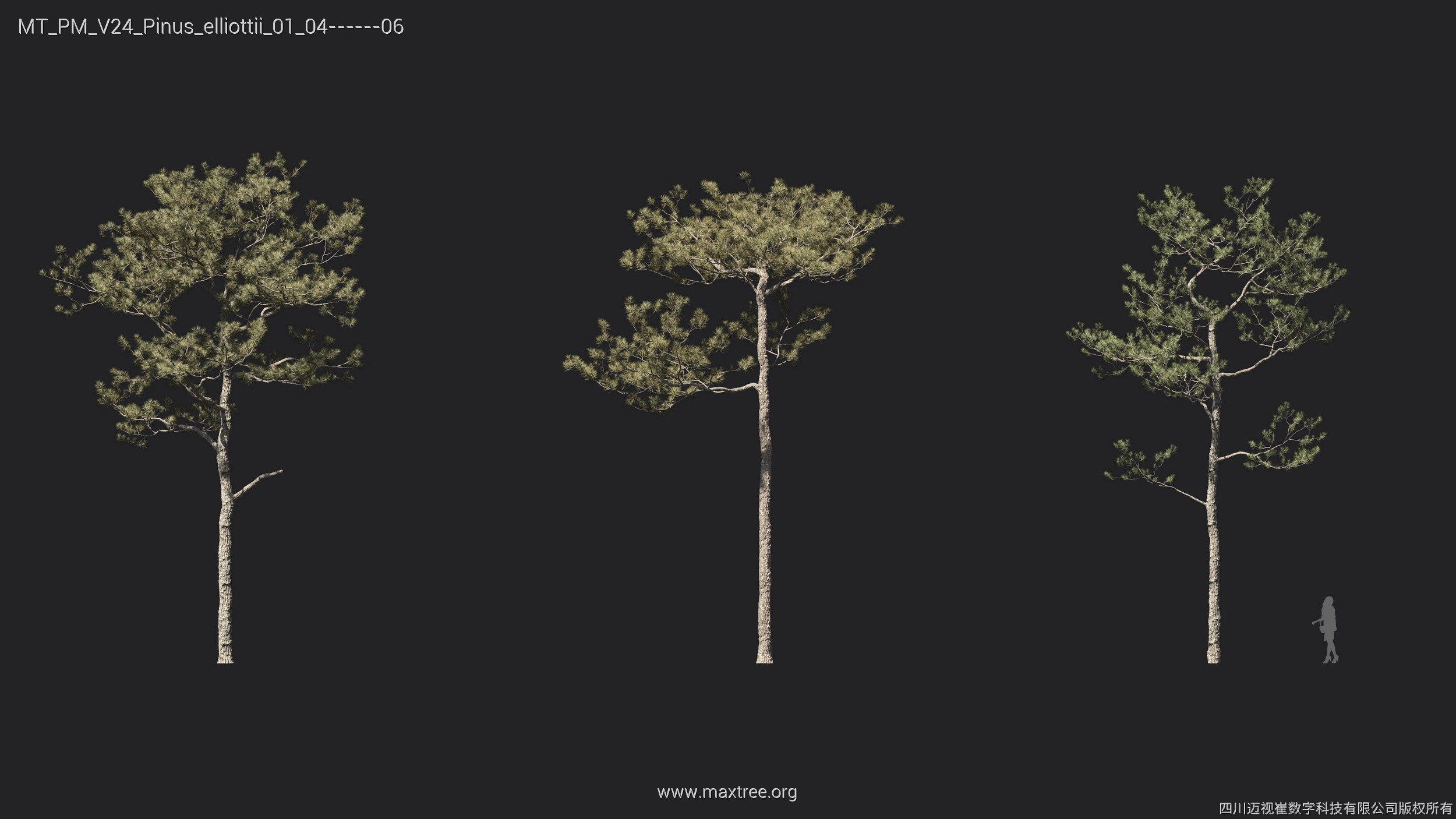 Maxtree Plant Models Vol 24 - Mesh 3D model_14