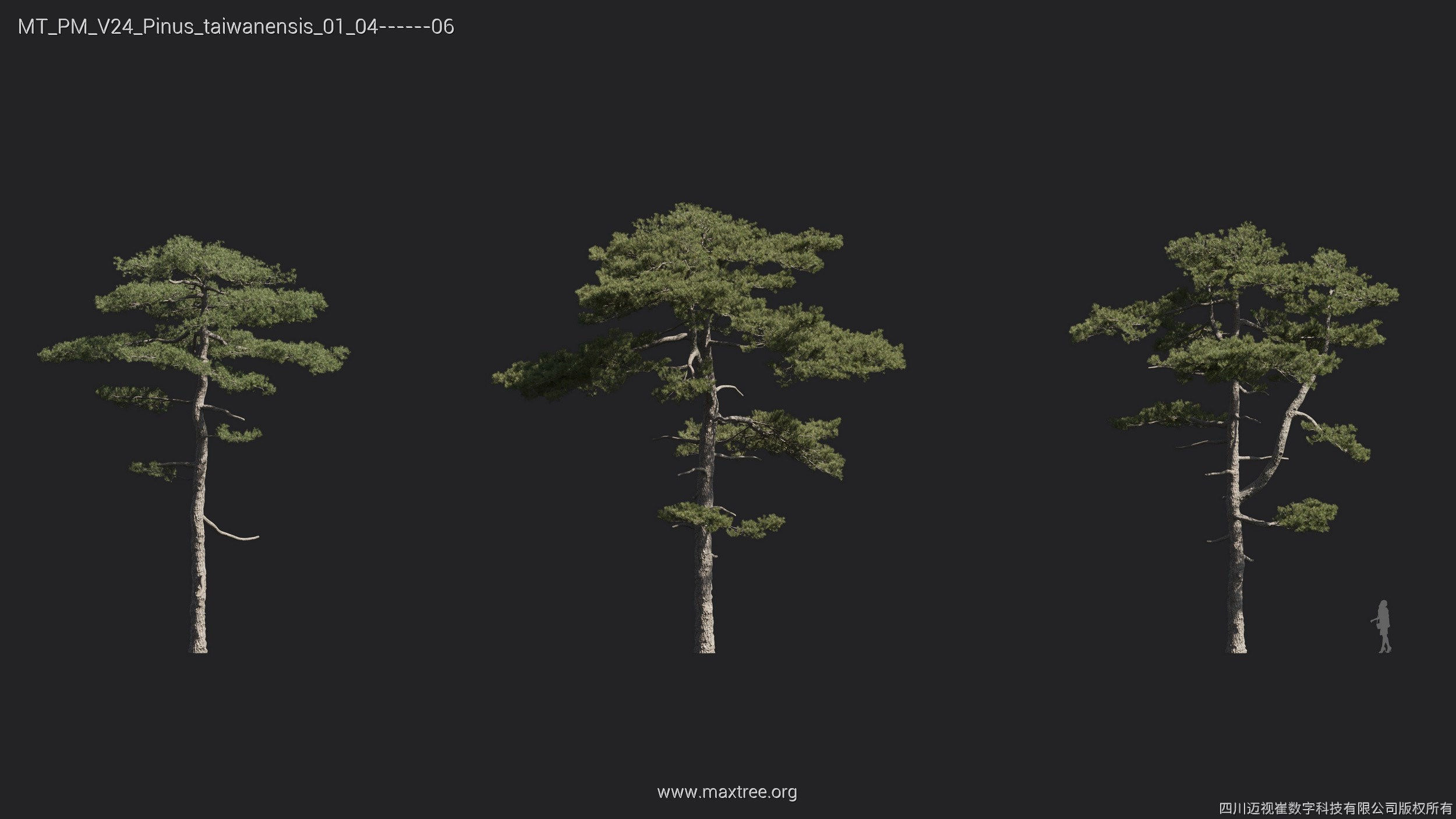 Maxtree Plant Models Vol 24 - Mesh 3D model_7