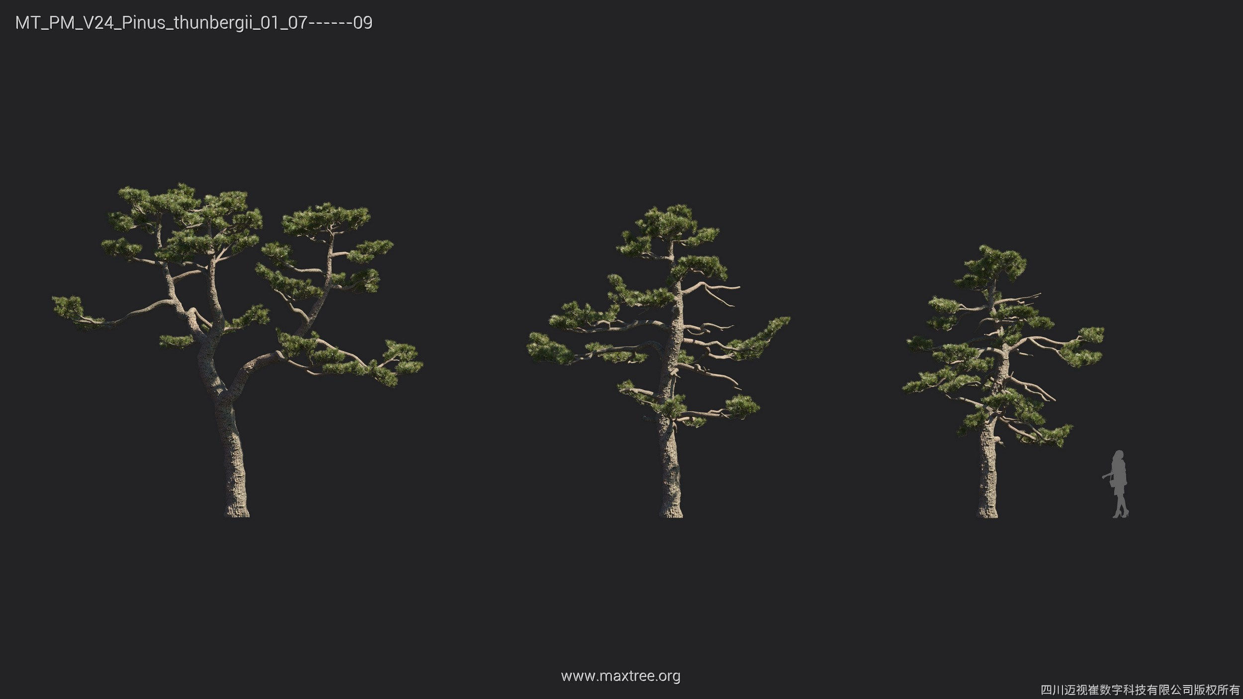 Maxtree Plant Models Vol 24 - Mesh 3D model_23