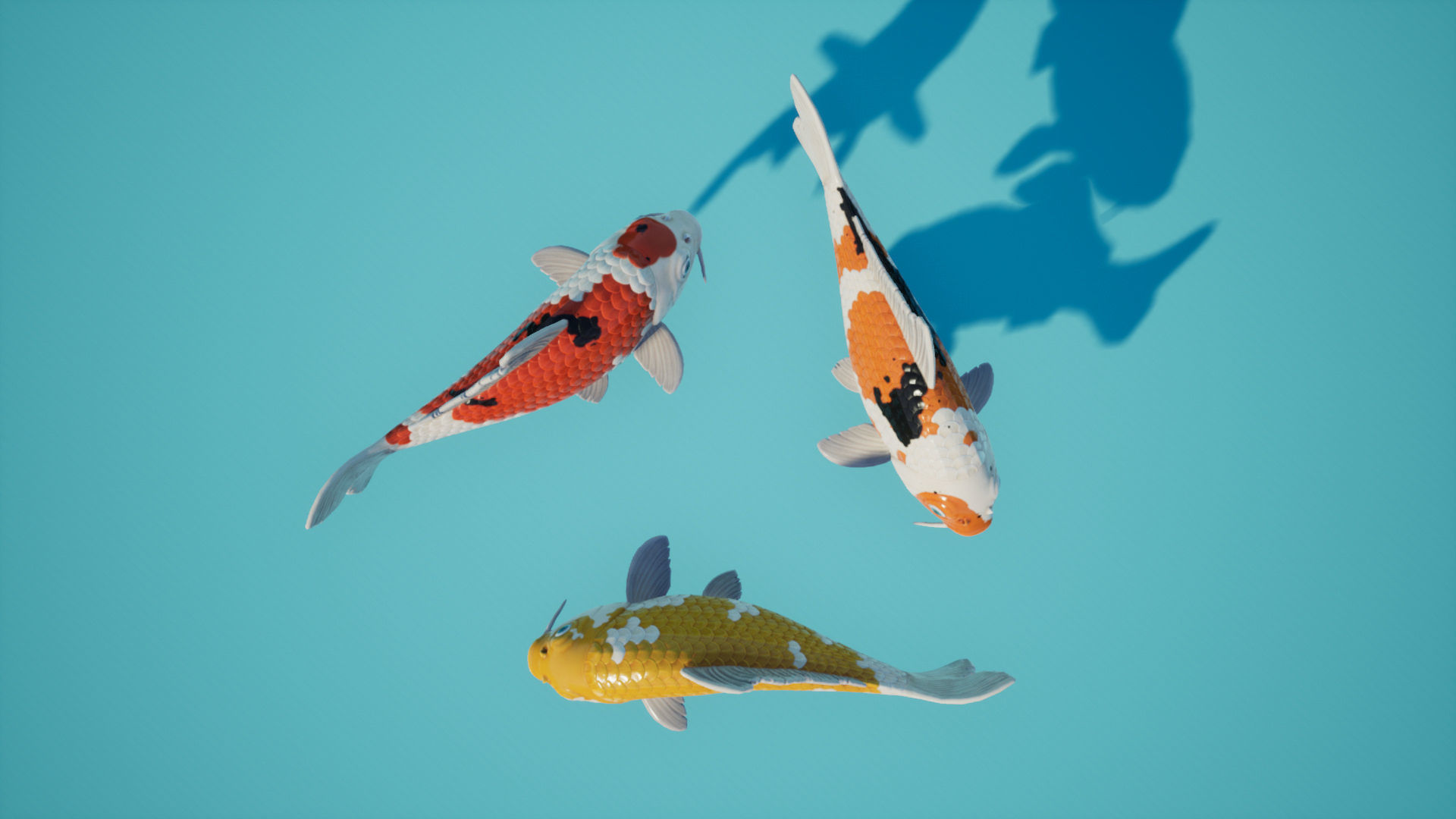 Koi Japanese carp Low-poly 3D model_9
