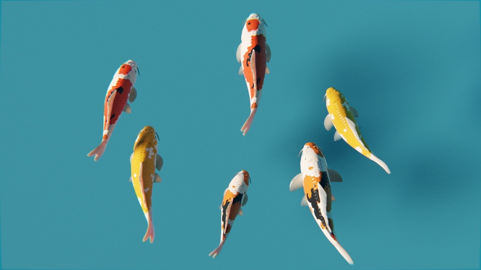 Koi Japanese carp Low-poly 3D model_2