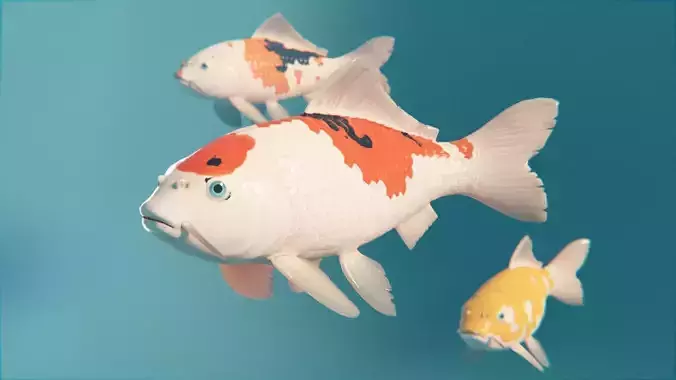 Koi Japanese carp Low-poly 3D model