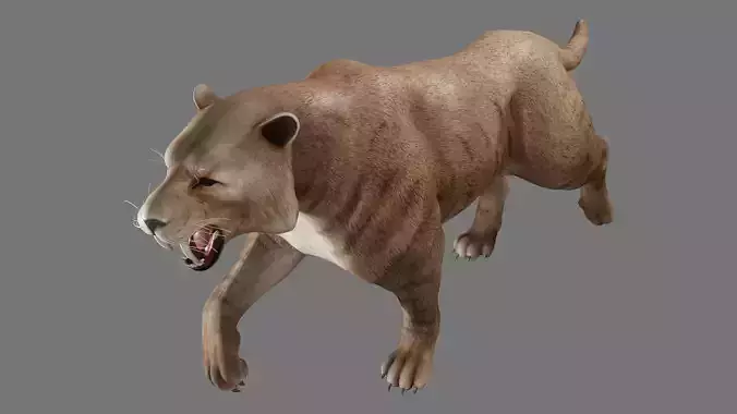  saber tooth 3D model