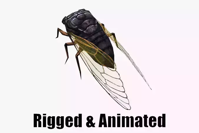 low poly animated cicada Low-poly 3D model