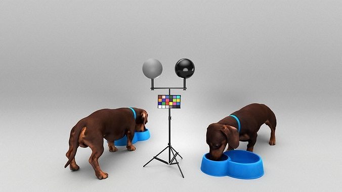 Dog with bowl 32 Low-poly 3D model