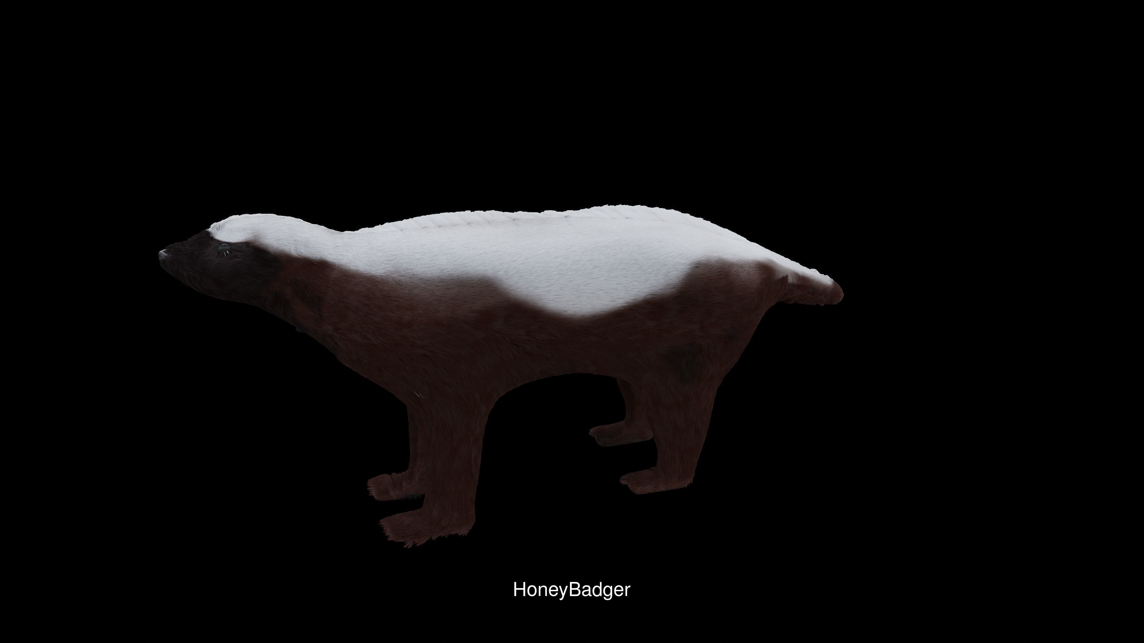 All my models 3D Model Collection_26