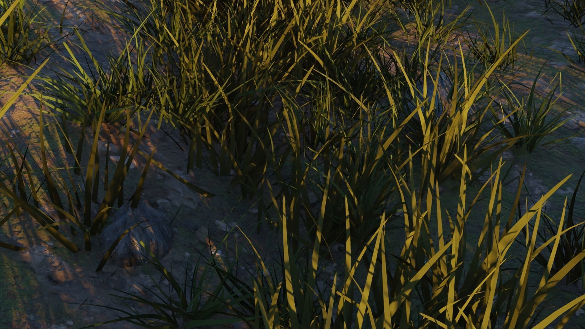 Agapanthus field 3D model_8