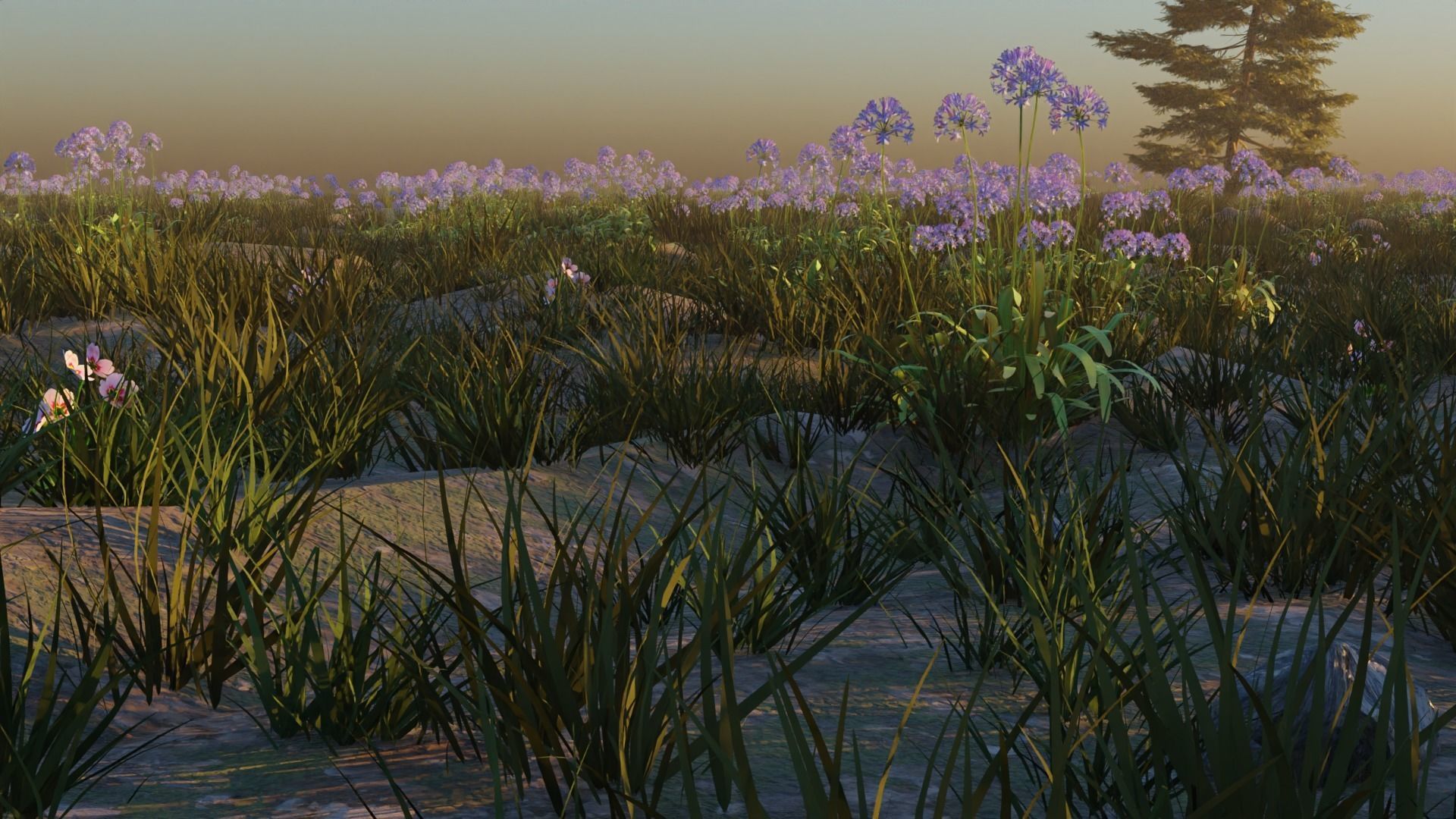 Agapanthus field 3D model_5